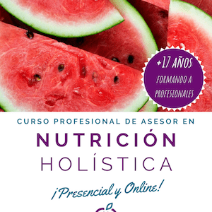 nutricion holistica